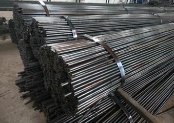 海角禁区免费版下载哪家好